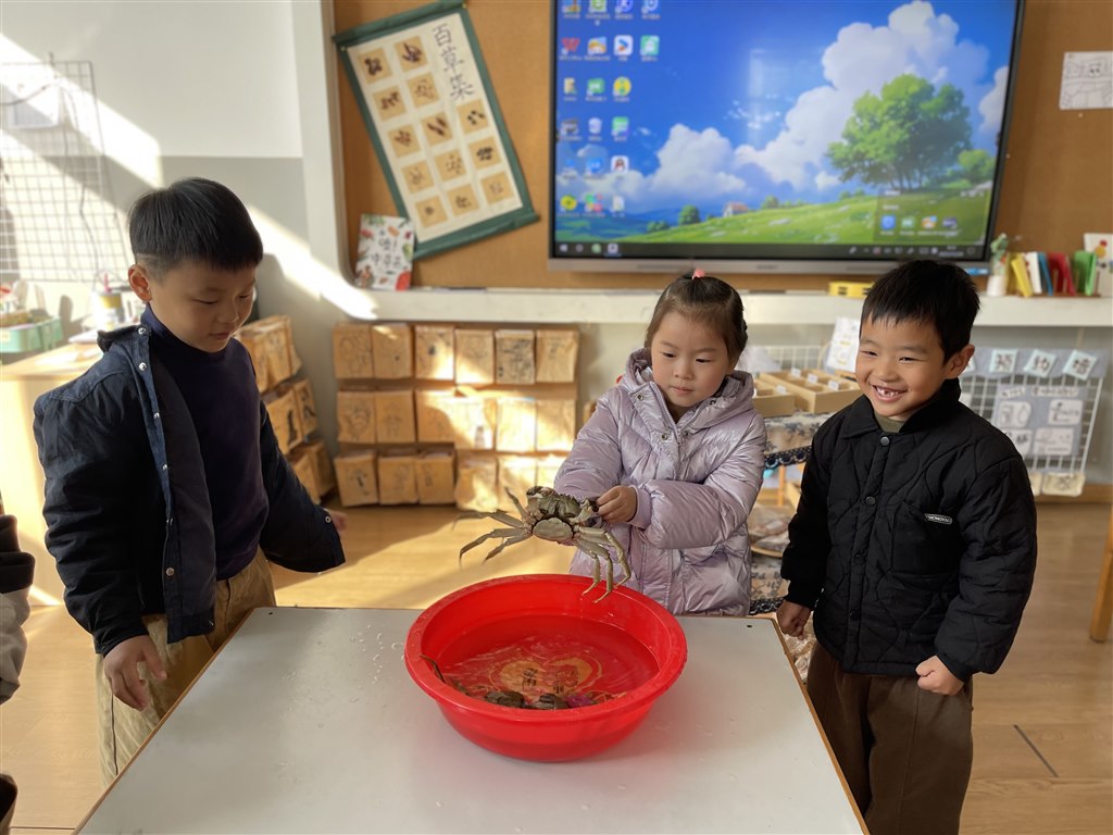 IMG_1822.JPG IMG_1822.JPG