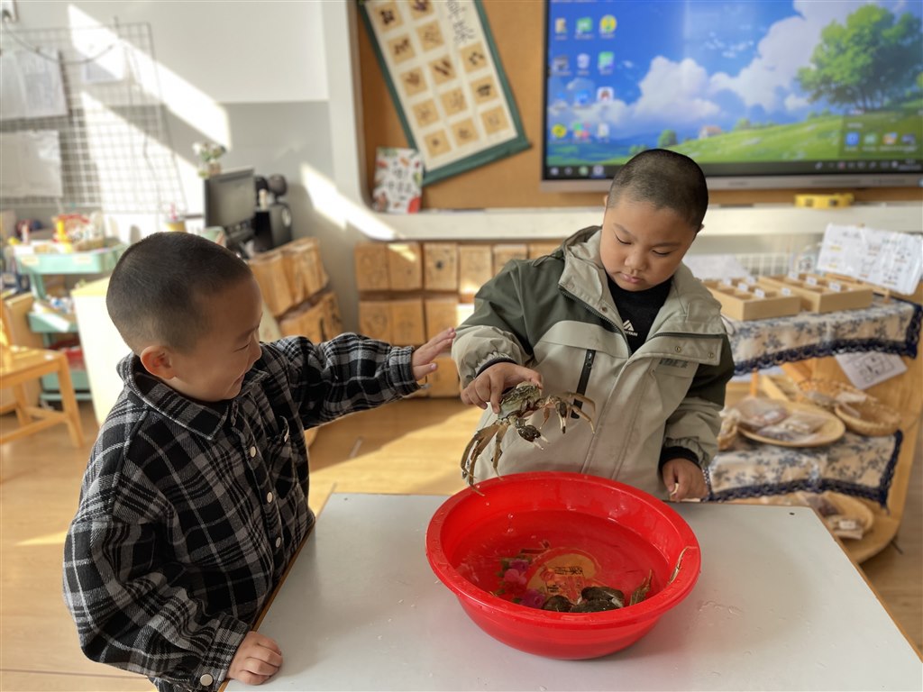 IMG_1854.JPG IMG_1854.JPG