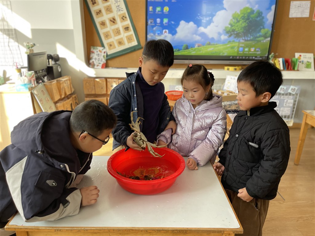 IMG_1818.JPG IMG_1818.JPG