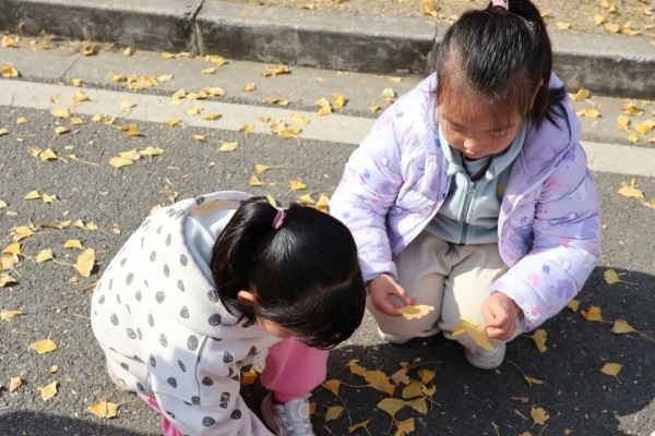 113015.jpg 113015.jpg