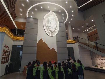 青藤心育｜稻浪间的成长课