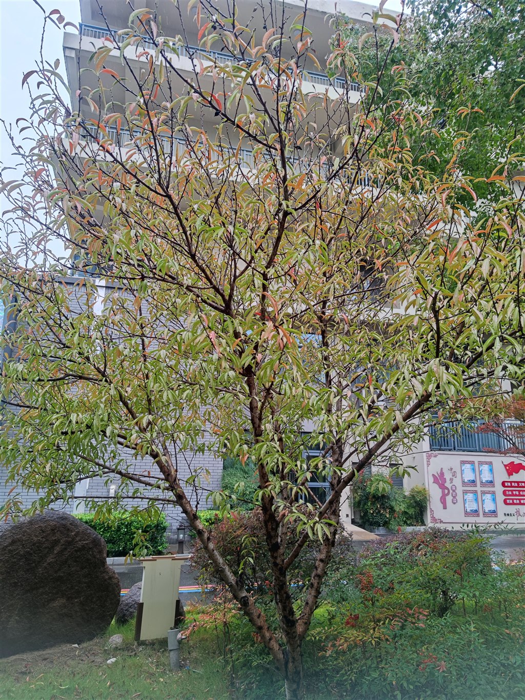 1764847891844.jpg 1764847891844.jpg