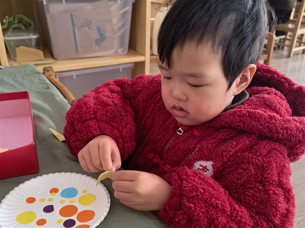 IMG_20251216_084145_edit_207115478613186.jpg IMG_20251216_084145_edit_207115478613186.jpg