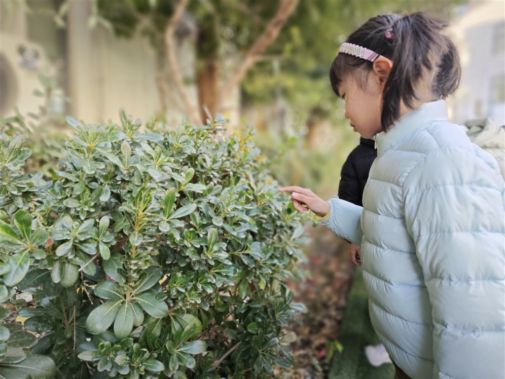 IMG_20251216_150959.jpg IMG_20251216_150959.jpg