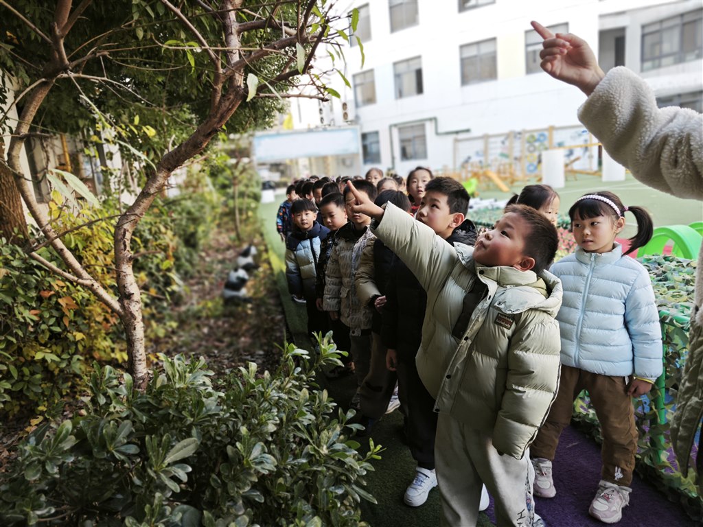 IMG_20251216_150938.jpg IMG_20251216_150938.jpg