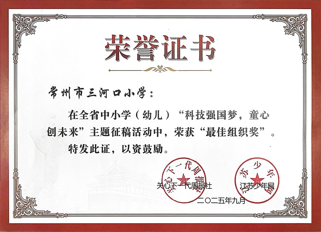 “科技强国梦 童心创未来”最佳组织奖.JPG