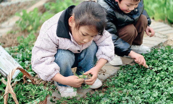 微信图片_20251231104747_218_27 (1).jpg