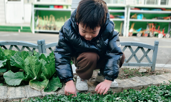 微信图片_20251231104753_220_27 (1).jpg