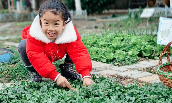 微信图片_20251231104750_219_27 (1).jpg