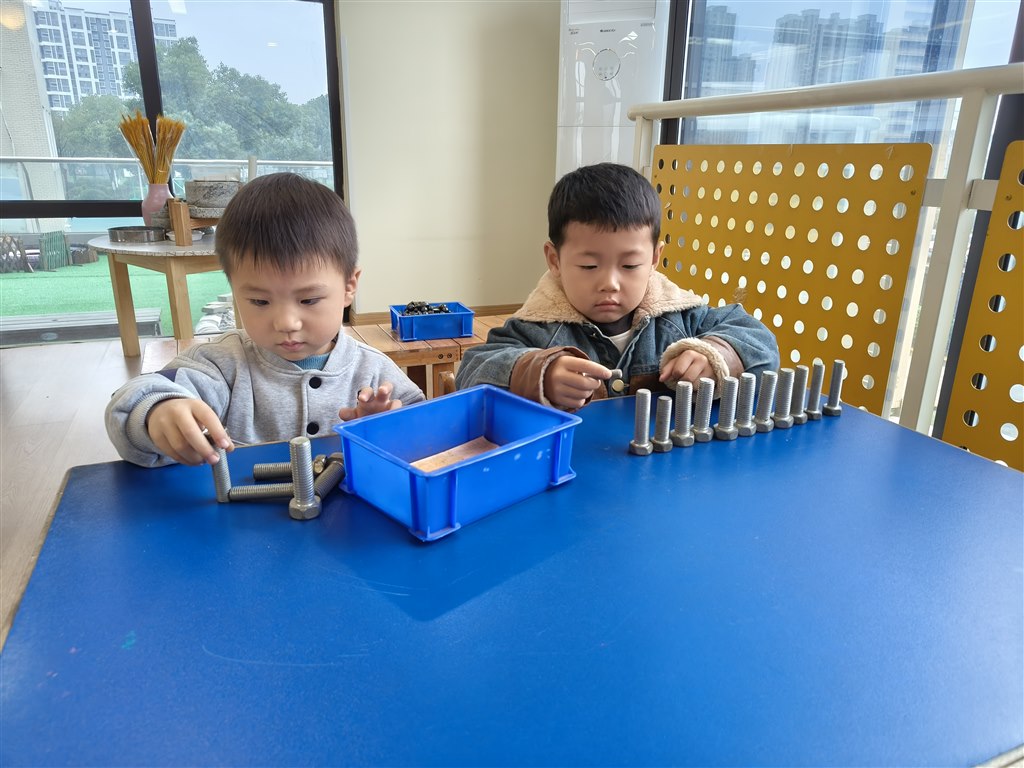 IMG20251107101022.jpg IMG20251107101022.jpg