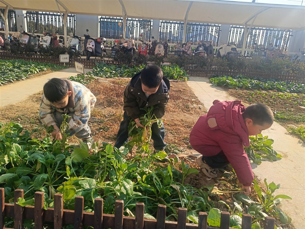 QQ图片20260115141814.jpg QQ图片20260115141814.jpg