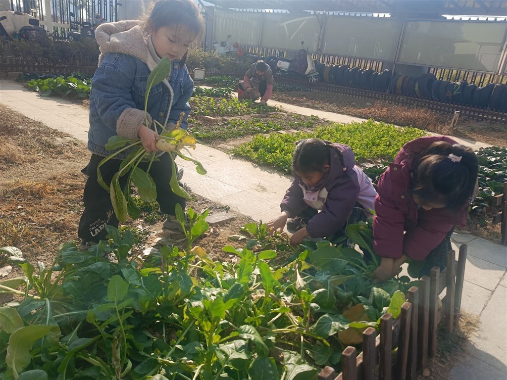 QQ图片20260115141828.jpg QQ图片20260115141828.jpg