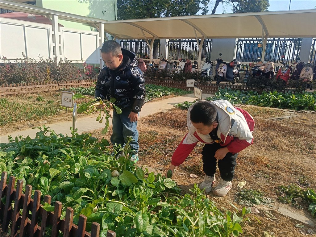 QQ图片20260115141941.jpg QQ图片20260115141941.jpg