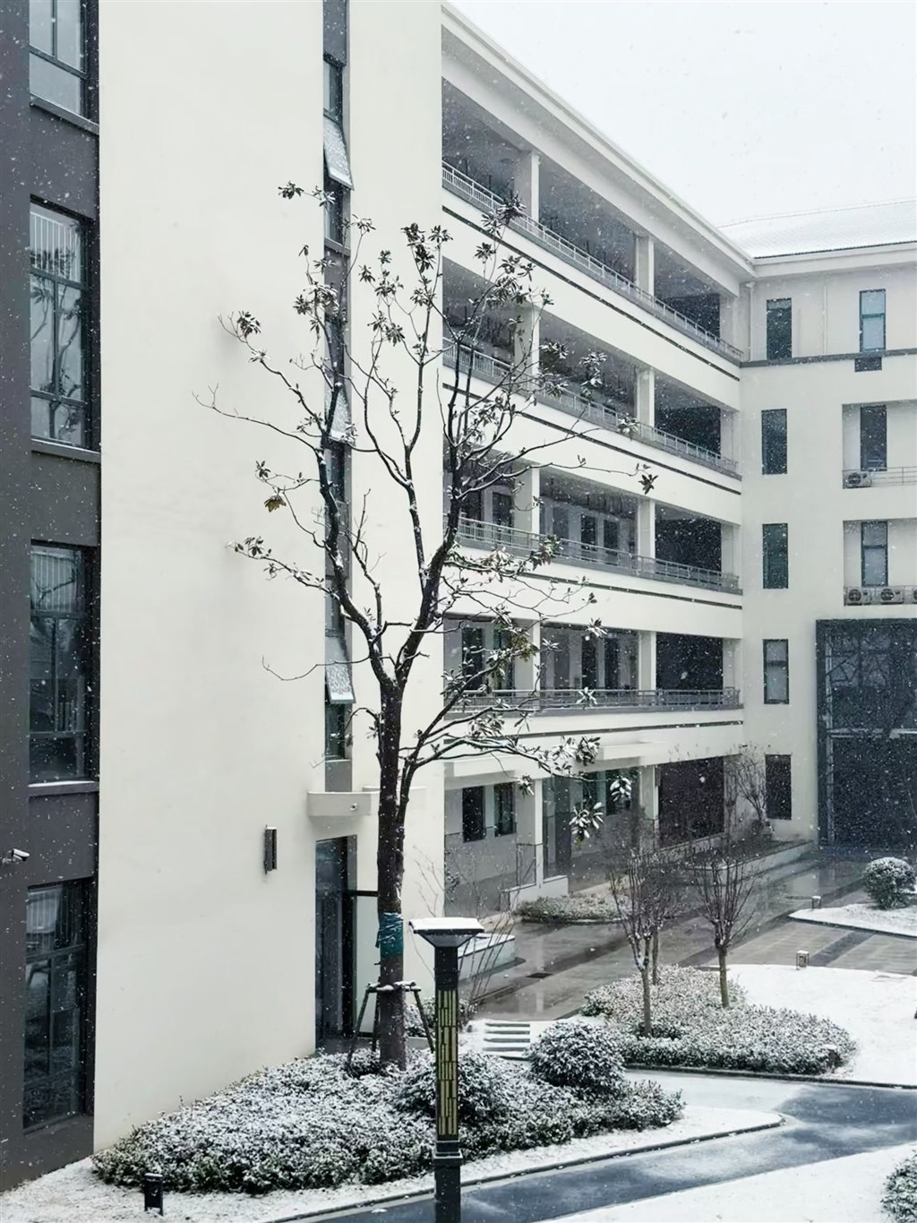 雪景2.jpg
