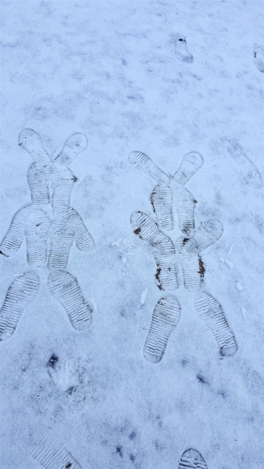雪趣1.jpg