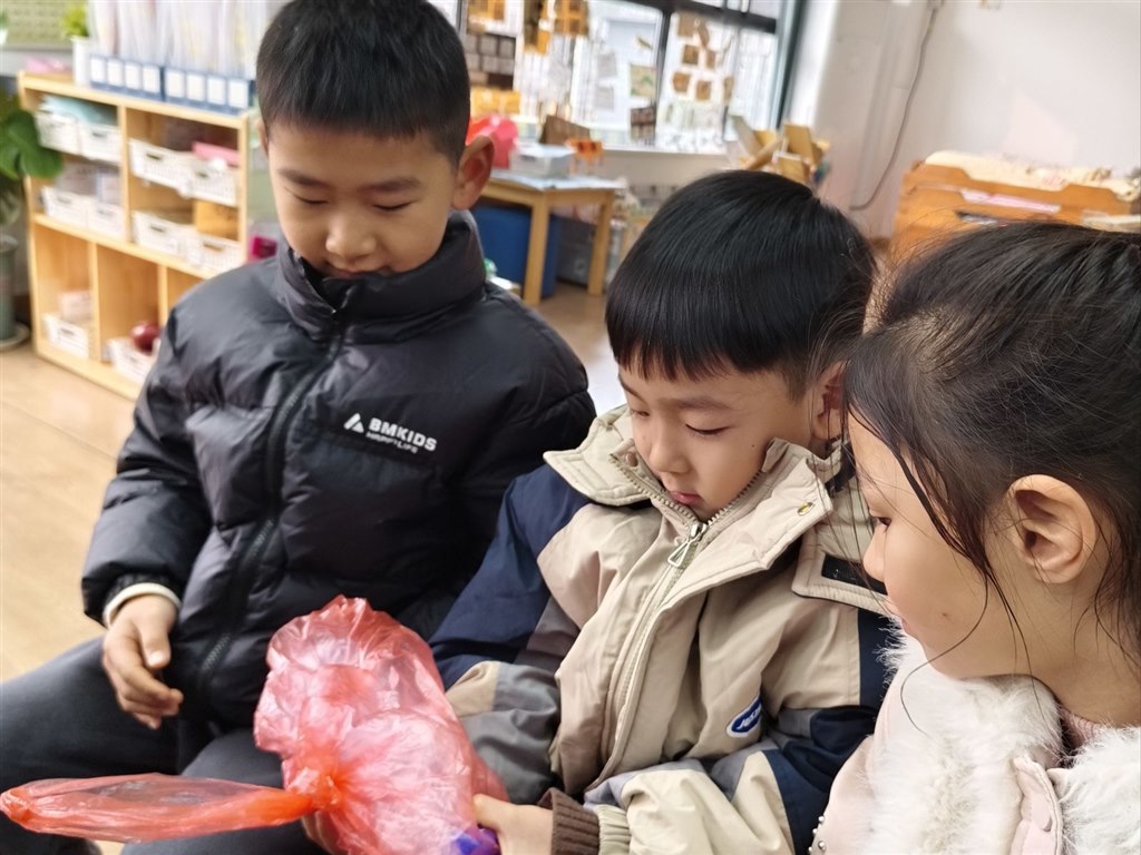 IMG_20260119_152107.jpg IMG_20260119_152107.jpg