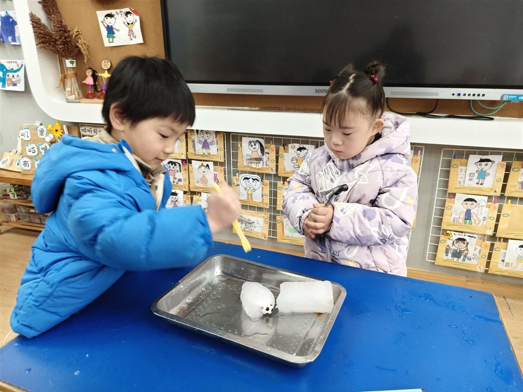 Image_1768807228012_533.jpg Image_1768807228012_533.jpg