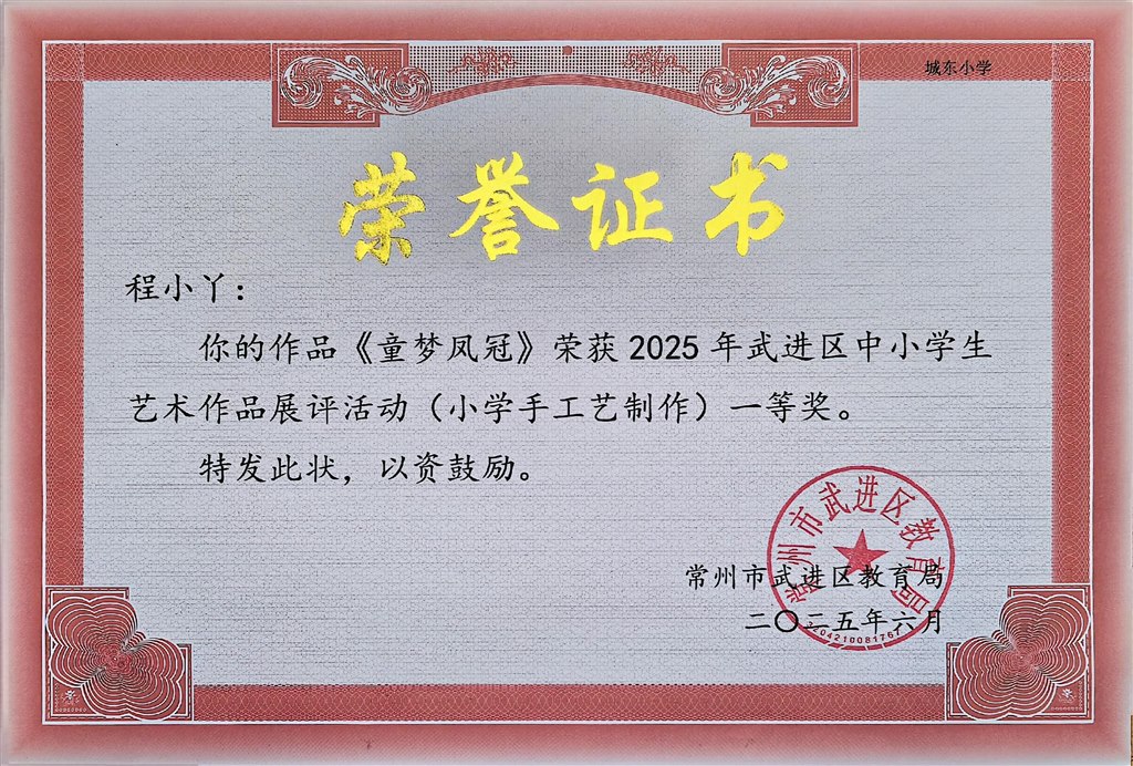 小丫2025年武进区中小学生艺术作品展评活动小学手工艺制作类一等奖.jpg