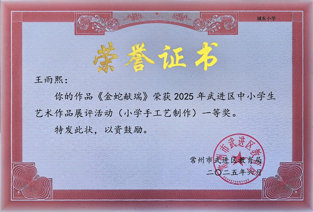 2025年武进区中小学生艺术作品展评活动小学手工艺制作类一等奖.jpg