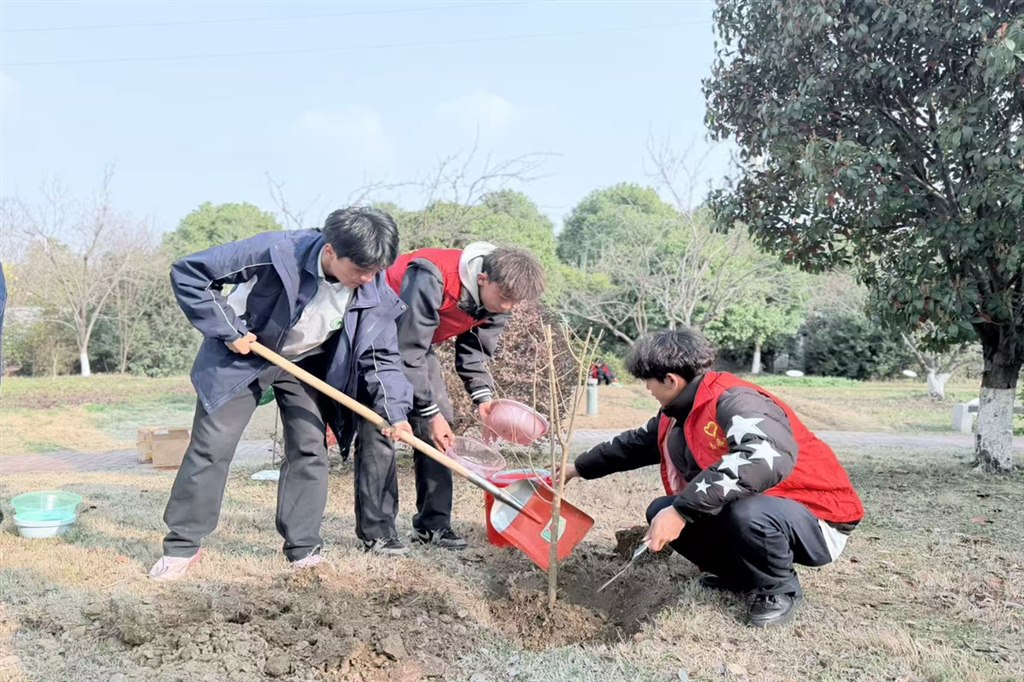 1种石榴树 (2).jpg 1种石榴树 (2).jpg