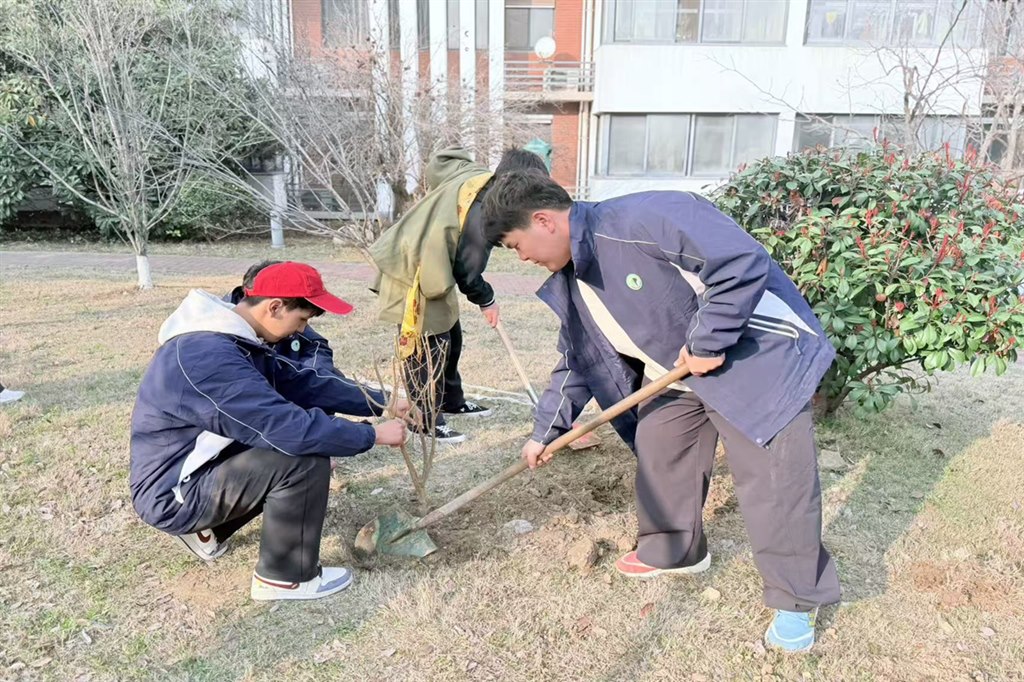 1种石榴树.jpg 1种石榴树.jpg