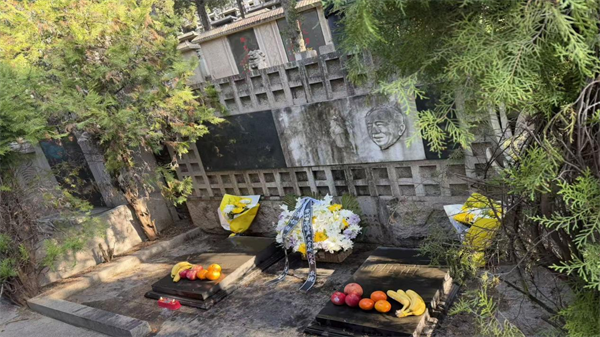 图片4.png 图片4.png