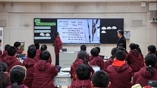 图片7.jpg