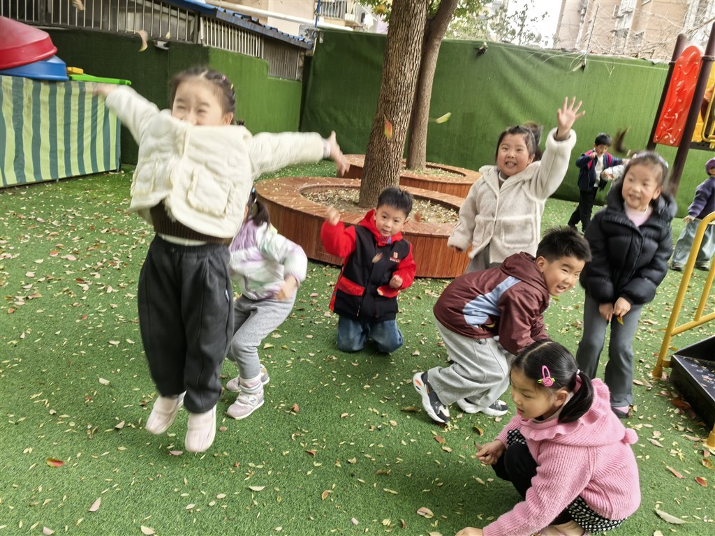 树叶3.jpg