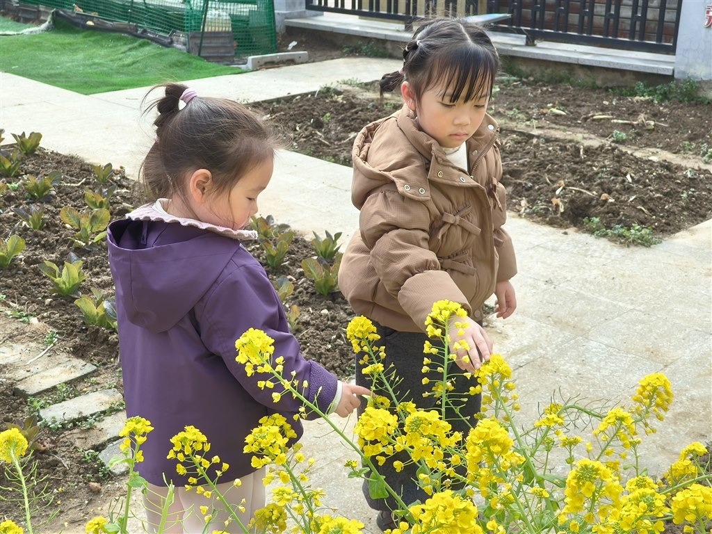 IMG20260320101548.jpg