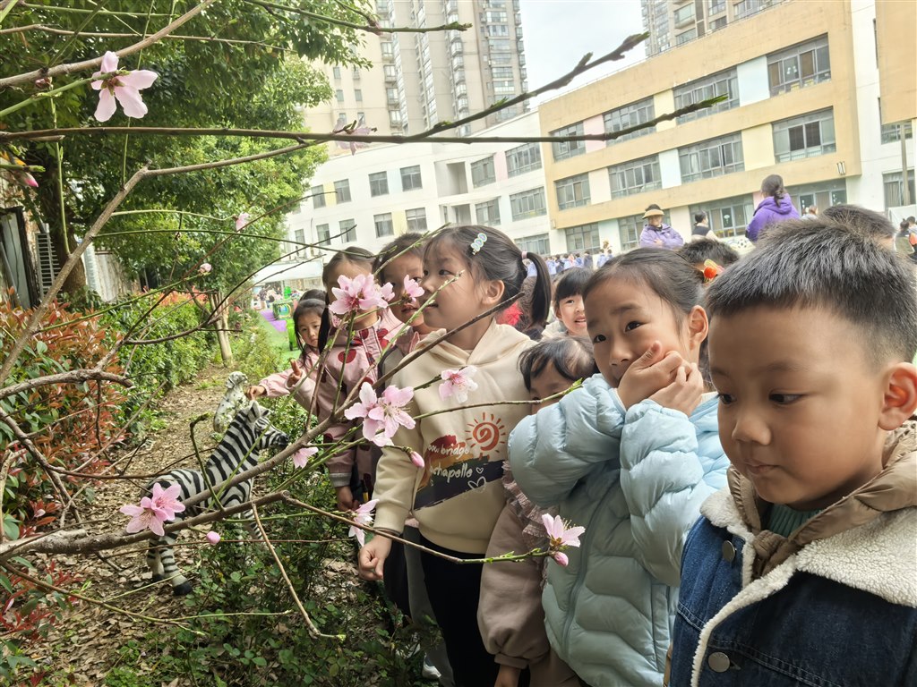 找春天1.jpg