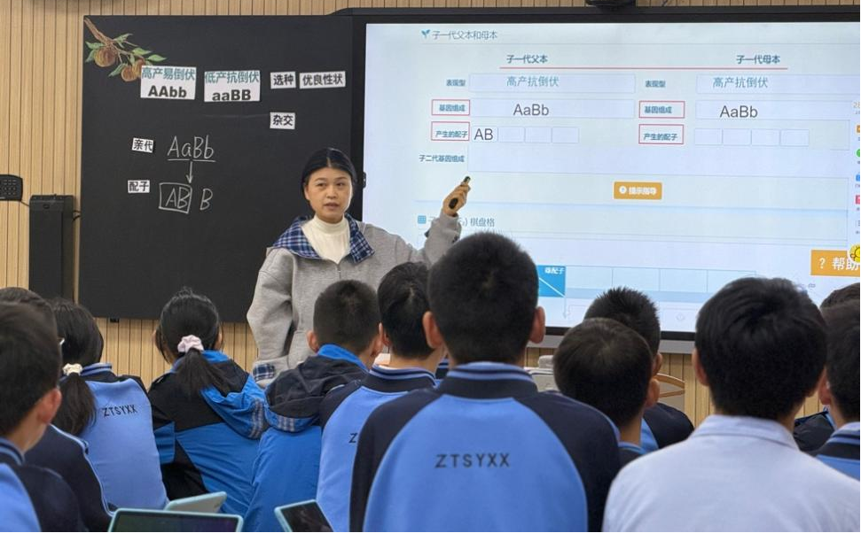 图片3.png 图片3.png