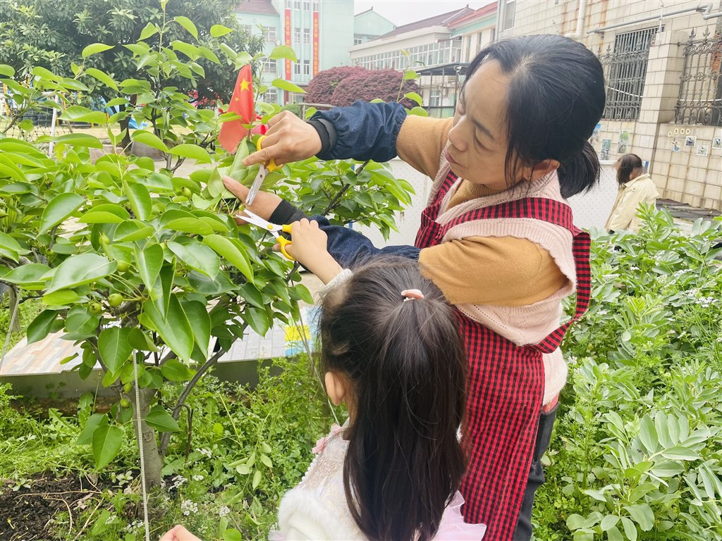 梨果6.jpg