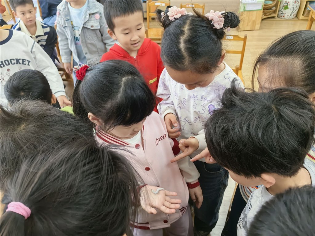 Image_1778291097661_180.jpg