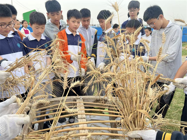 微信图片_20260530170102_159_5.jpg 微信图片_20260530170102_159_5.jpg