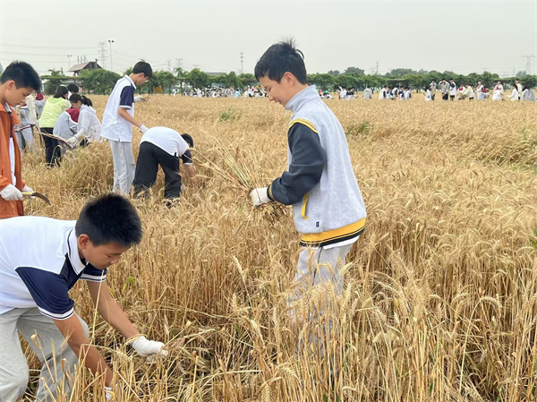微信图片_20260530170100_158_5.jpg 微信图片_20260530170100_158_5.jpg
