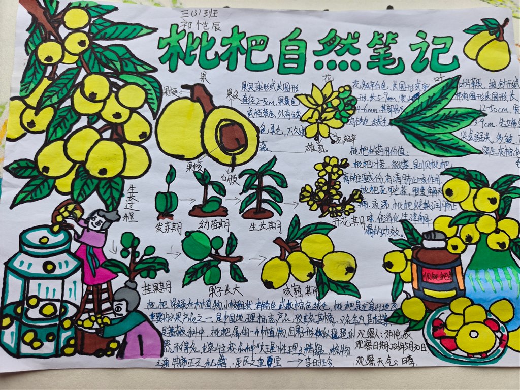 小报1.jpg