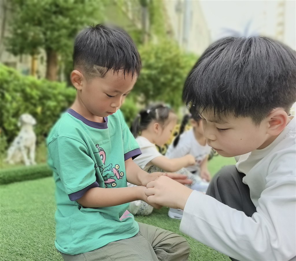 桂花5.jpg 桂花5.jpg