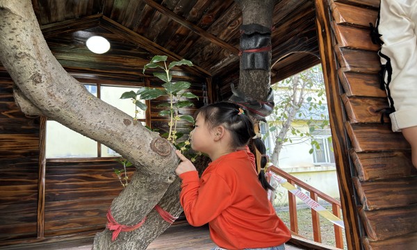 IMG_5434.JPG